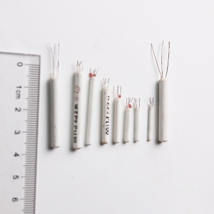 双支陶瓷铂电阻